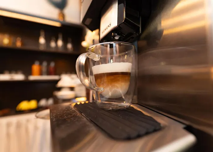 Alpinpelso 게스트하우스