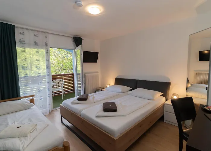 Alpinpelso 3* 상트미카엘임룽가우